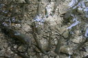 gal/cro 08/_thb_small-IMG_5597.JPG